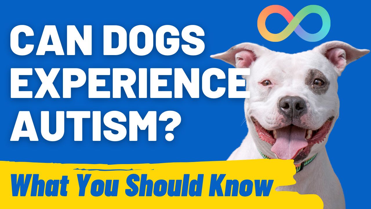 Can Dogs Experience Autism