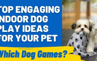 Top Engaging Indoor Dog Play Ideas for Your Pet