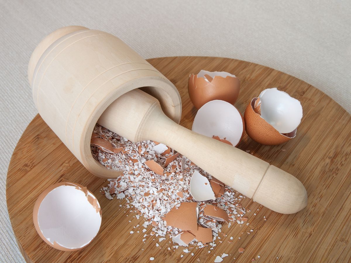 egg shells grounded in a pestle