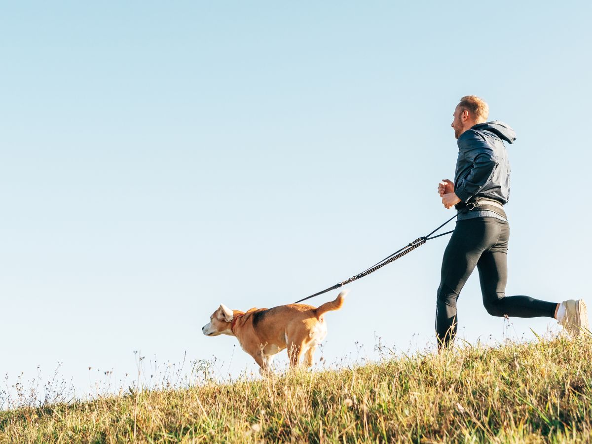 dog and owner jogging