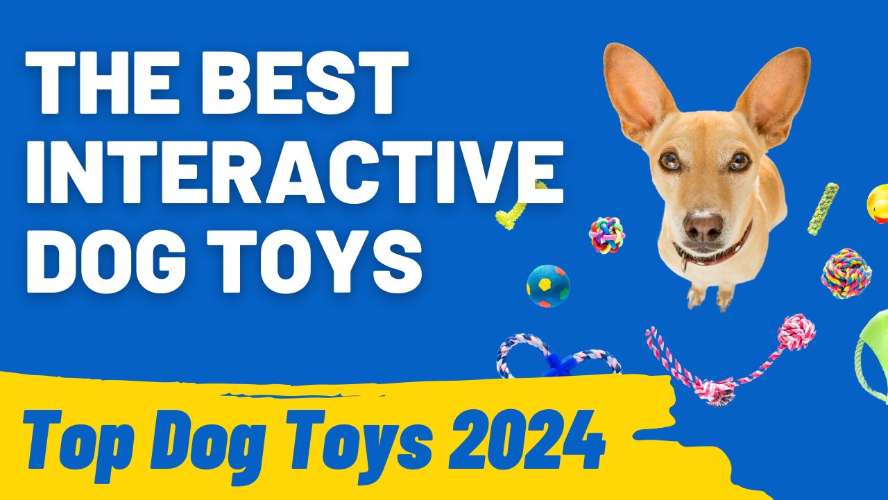 the Best Interactive Dog Toys